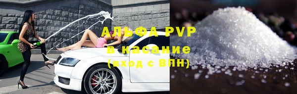 шишки Абаза