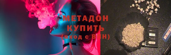 шишки Абаза