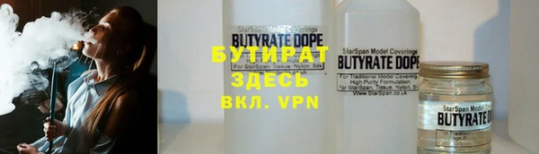 шишки Абаза