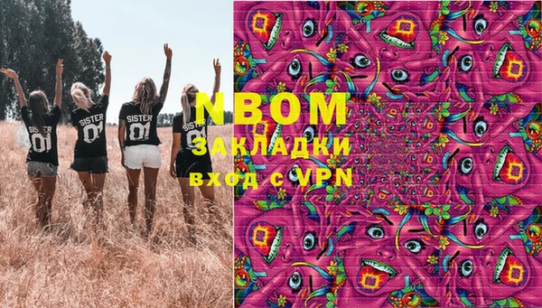 шишки Абаза